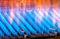 Balmaha gas fired boilers